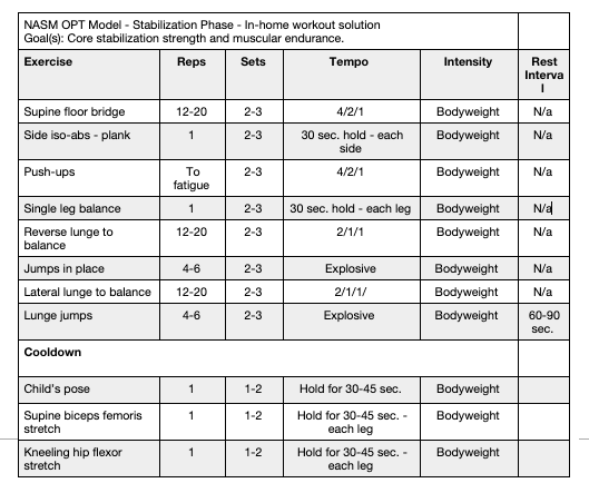 Nasm Workout Template